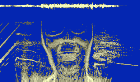 Aphex Twin Windowlicker soundwaves