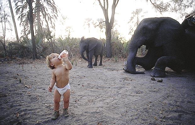 elephant-baby_1112723i