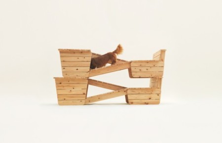 Playful-Puppy-Shelters-5