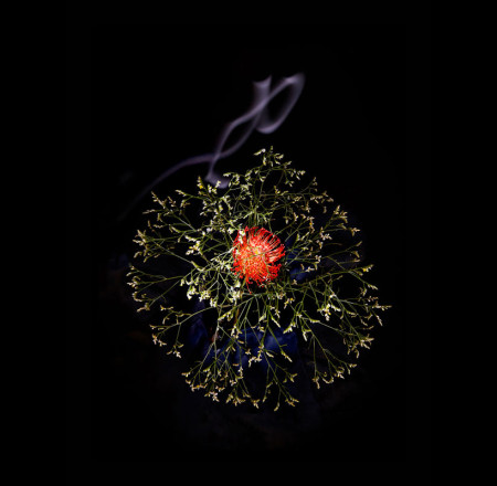 flower-firework-sarah-illenberger-sabrina-rynas-12