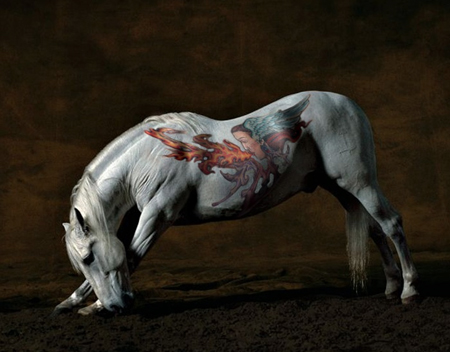 Tattooed Horses