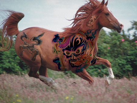 Tattooed Horses