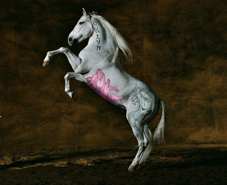 Tattooed Horses