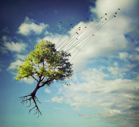 sky sky