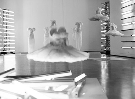 rodarte1