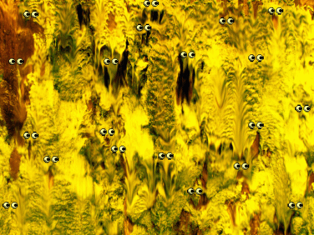 Petra Cortright Petra Cortright