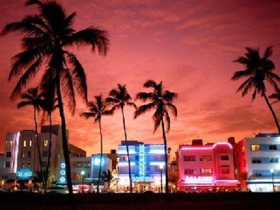 Part 2: Video Art Killed the Painting Star: Miami