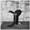 Roger Ballen - Cat In Tube