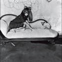 Roger Ballen 'Selma Blair'