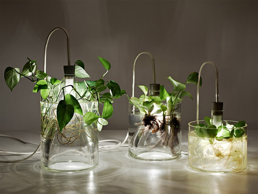Vase & Leuchte by Miriam Aust