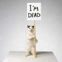 David Shrigley