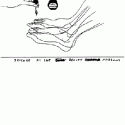 David Shrigley