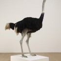 David Shrigley