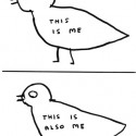 David Shrigley