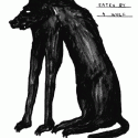 David Shrigley