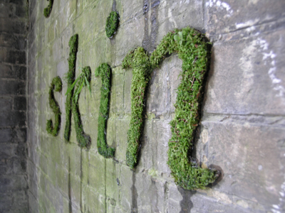 Moss graffiti