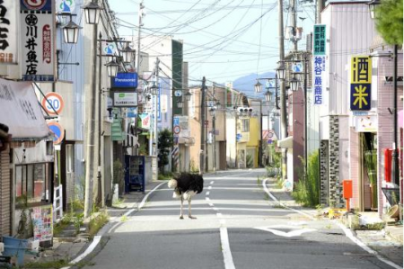Yasusuke Ota