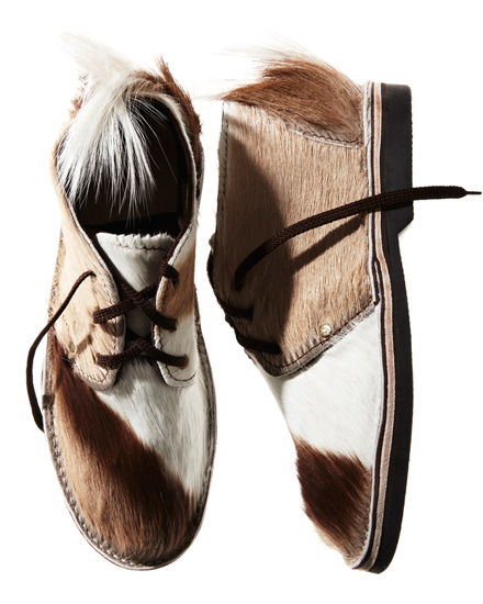 Schier-Shoes_Erongo_springbok