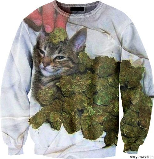 funny-sexy-sweaters-15