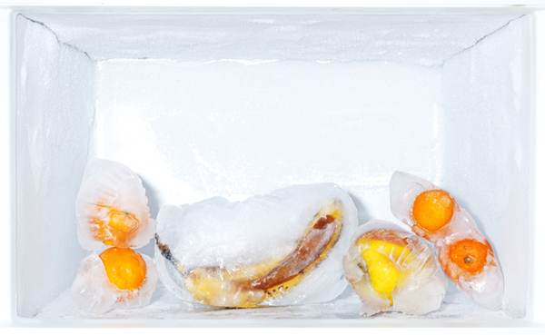 Still life - the frozen fruit1_1