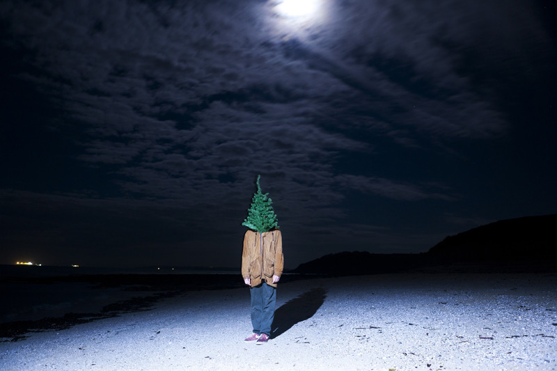 robinleevel-fullmoonandahalfhumantree_2000