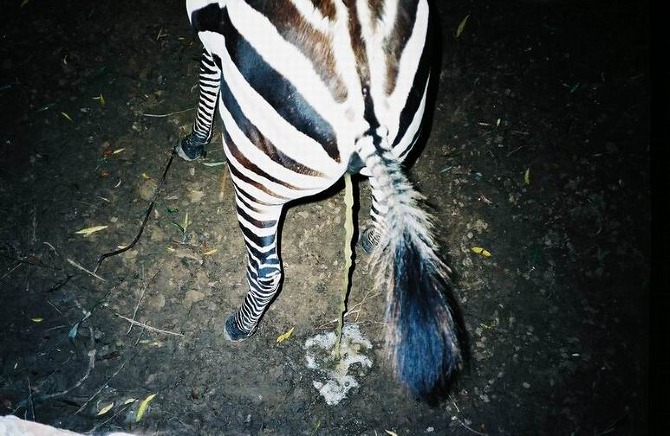 20009 1