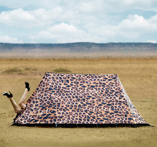 FieldCandy-8-Leopard