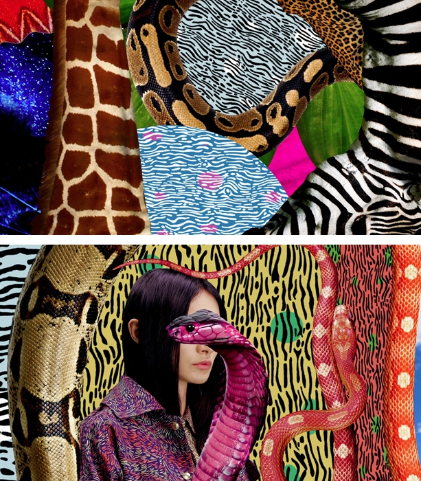Kenzo-Mat-Maitland-4a