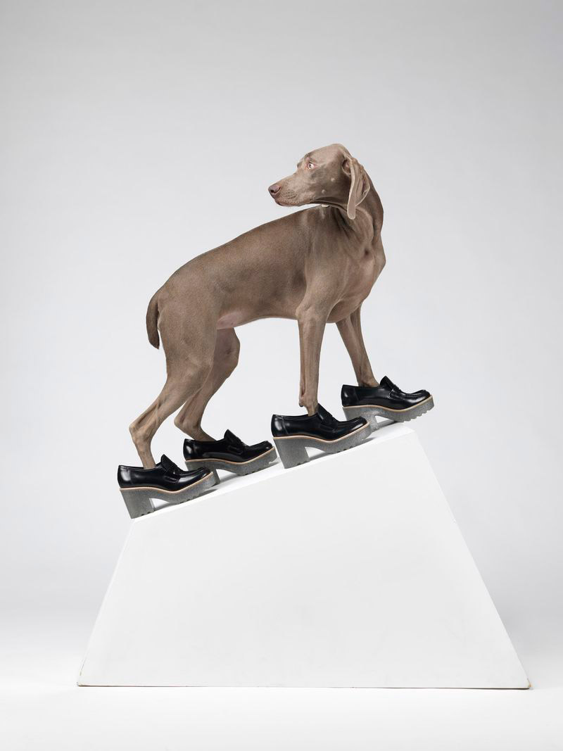 acne_William_Wegman_ss13_campaign_2