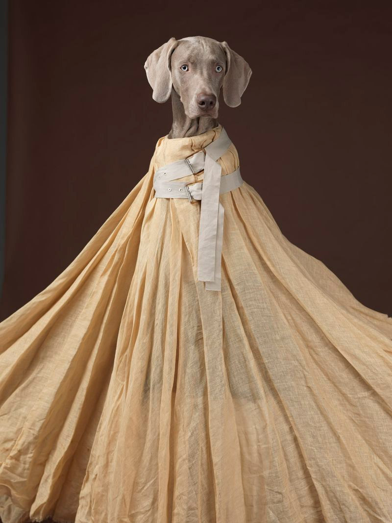 acne_William_Wegman_ss13_campaign_3