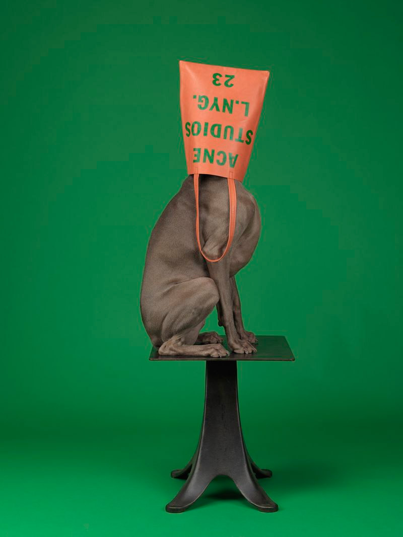 acne_William_Wegman_ss13_campaign_4