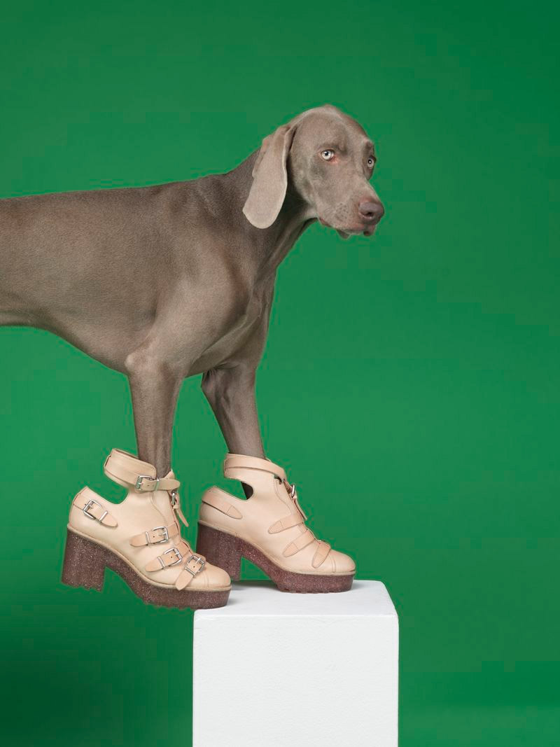 acne_William_Wegman_ss13_campaign_7
