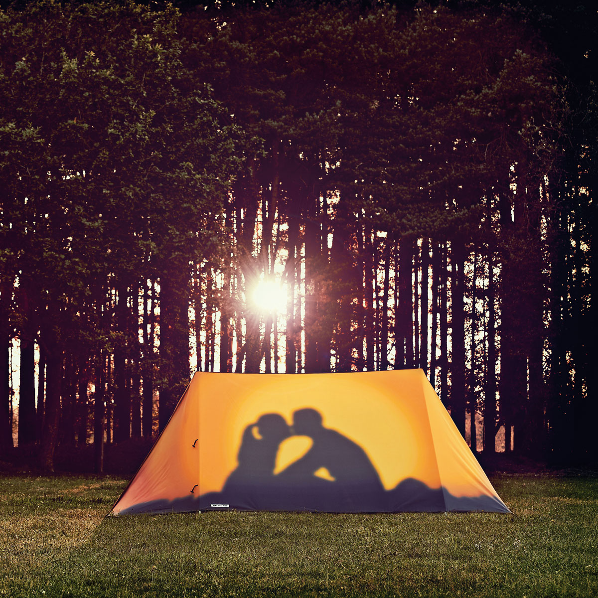 fieldcandy-creative-designer-tents-10