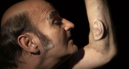 stelarc