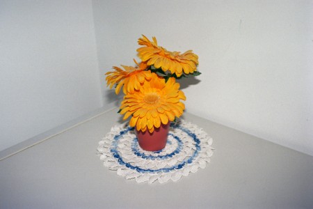 57_fake-plant-matino02b