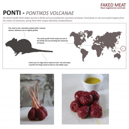 VOGELZANG_pontiposter