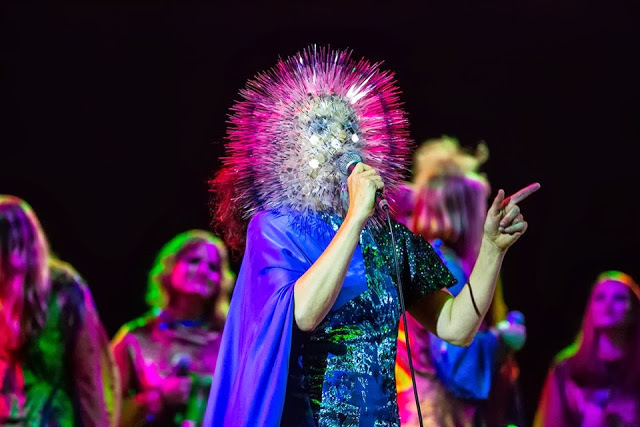 Bjork hollywood bowl june 2013 photographer Debi Del Grande los angeles