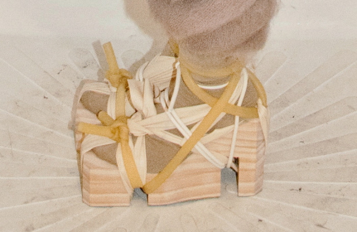 ian-horowitz-eckhaus-latta-5
