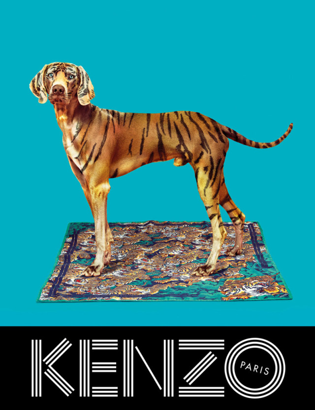 xkenzo-fall-campaign3.jpg,qresize=640,P2C834.pagespeed.ic._YxtbbkyI8