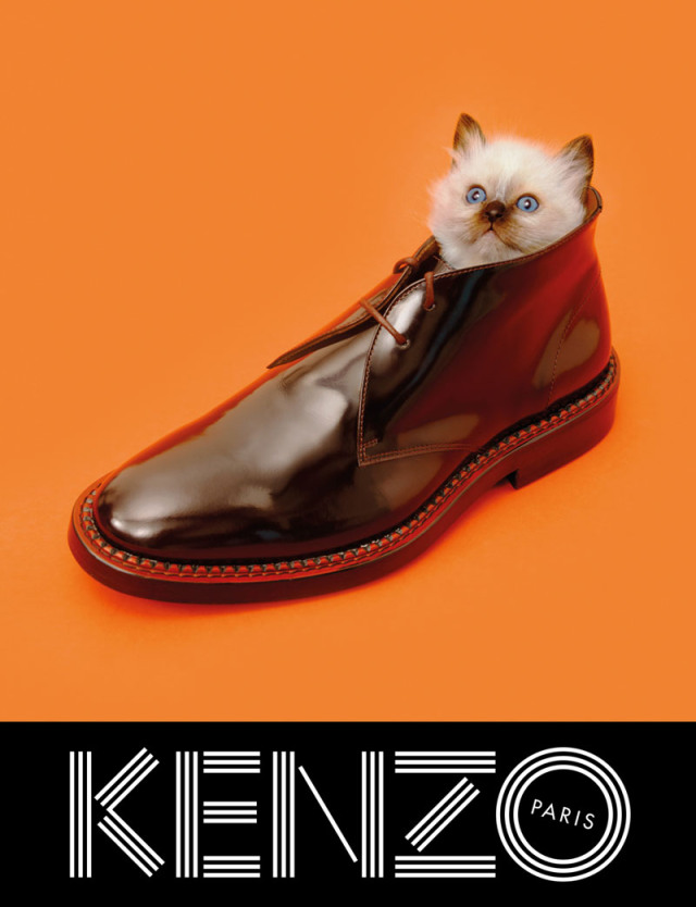 xkenzo-fall-campaign5.jpg,qresize=640,P2C834.pagespeed.ic.NHoajBC7EF