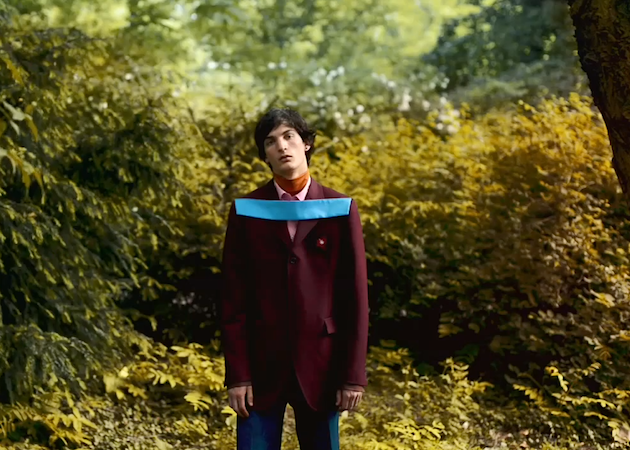 Raf-Simons-Vid-fall-2013-1
