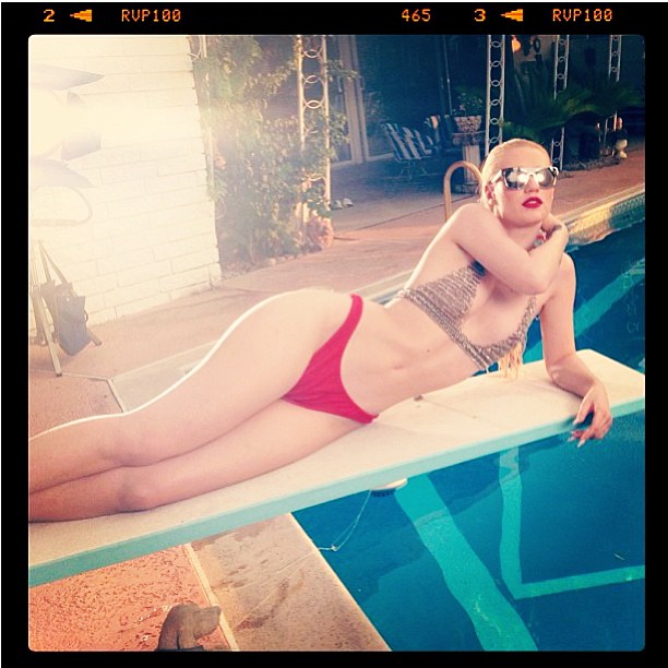 iggy-shoot3