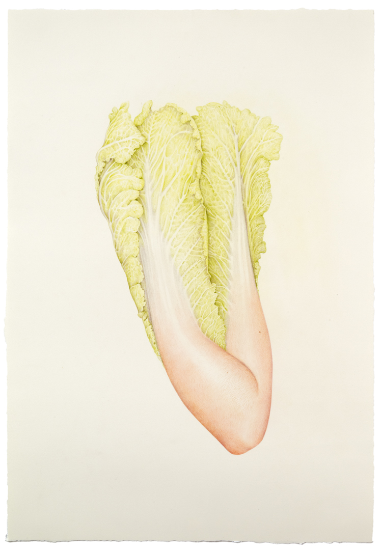 aurel_schmidt_cabbage_elbow