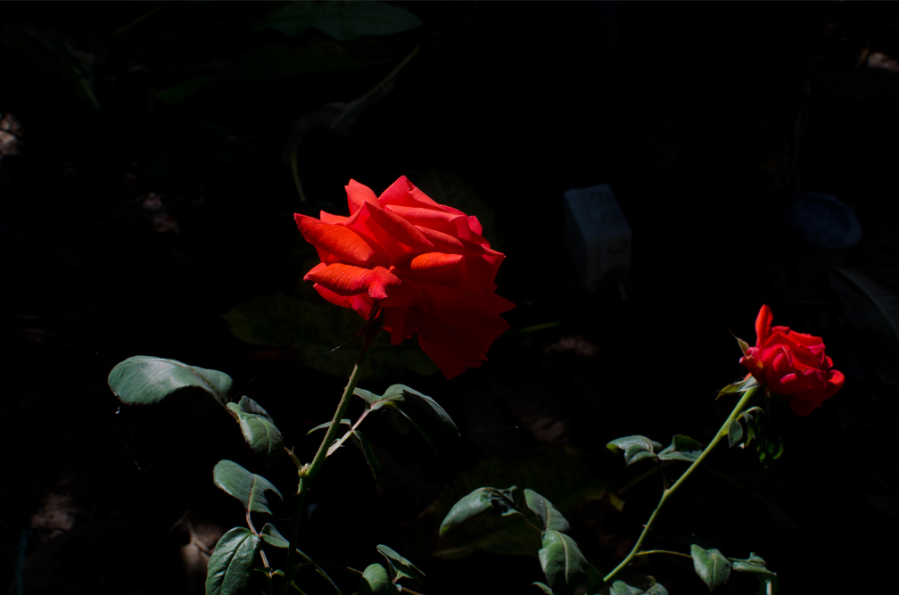 tumblr_mx3vqcoGXA1r83nvvo1_1280