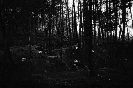 Daniel_González_photography_19