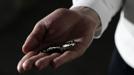 Since_for_corne_gabriels_bow_tie_butterfly