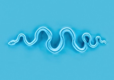 Conceptual-Latex-Series-11
