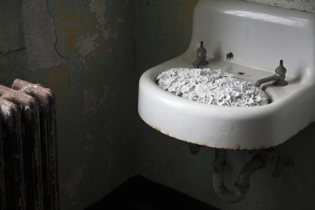 Ai Weiwei, Blossom, 2014 (installation detail, Alcatraz Hospital)