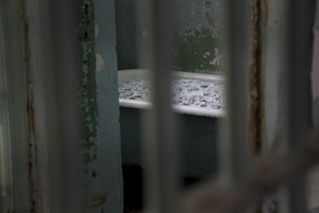 Ai Weiwei, Blossom, 2014 (installation detail, Alcatraz Hospital)