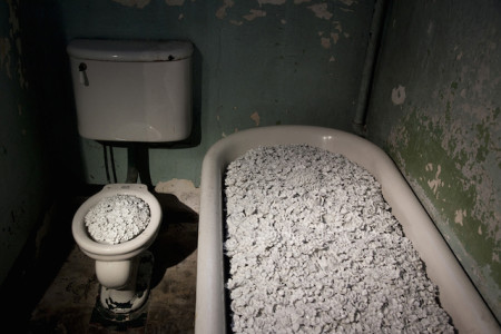 Ai Weiwei, Blossom, 2014 (installation detail, Alcatraz Hospital)